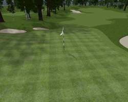 Скриншот к игре Customplay Golf