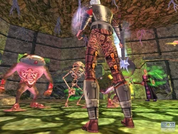 Скриншот к игре EverQuest: Lost Dungeons of Norrath