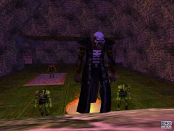 Скриншот к игре EverQuest: The Legacy of Ykesha
