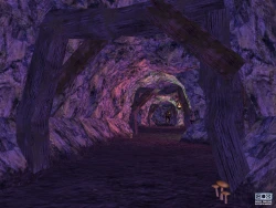 Скриншот к игре EverQuest: The Legacy of Ykesha