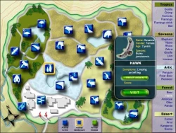Скриншот к игре Zoo Vet