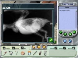 Скриншот к игре Zoo Vet