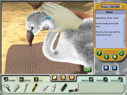Zoo Vet Screenshots