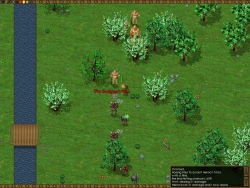 Battles of Norghan Screenshots