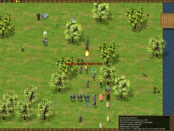 Battles of Norghan Screenshots