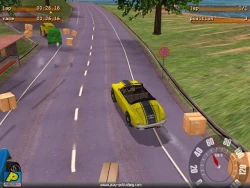 Скриншот к игре Crazy Classics