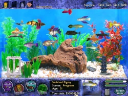 Скриншот к игре Fish Tycoon for Windows