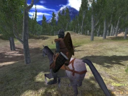 Скриншот к игре Mount & Blade