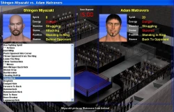 Wrestling Spirit Screenshots