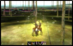 The Endless Forest Screenshots