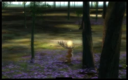 The Endless Forest Screenshots