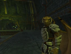 EverQuest 2: Kingdom of Sky Screenshots