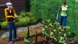 Скриншот к игре The Sims 3