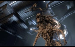 Скриншот к игре Aliens vs. Predator (2010)