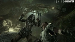 Скриншот к игре Aliens vs. Predator (2010)