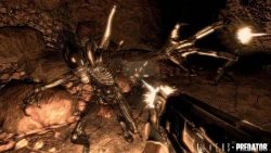 Скриншот к игре Aliens vs. Predator (2010)