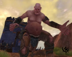 Скриншот к игре Warhammer Online: Age of Reckoning