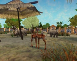 Zoo Tycoon 2: African Adventure Screenshots