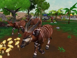 Zoo Tycoon 2: African Adventure Screenshots