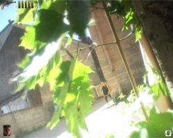 Бумер-2 Screenshots