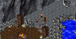 Скриншот к игре In Vivo: King's Knight