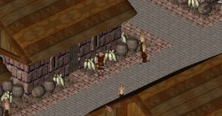 In Vivo: King's Knight Screenshots