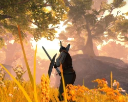 Скриншот к игре Drakensang: The Dark Eye