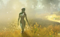 Скриншот к игре Drakensang: The Dark Eye