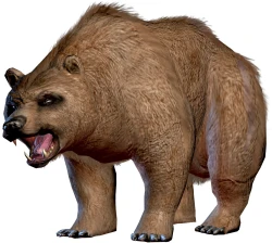 Скриншот к игре Drakensang: The Dark Eye