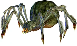 Скриншот к игре Drakensang: The Dark Eye