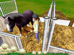 Paws & Claws Pet Vet Screenshots