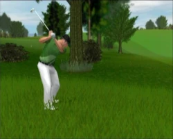 Скриншот к игре Real World Golf