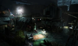 Скриншот к игре Afterfall: Insanity
