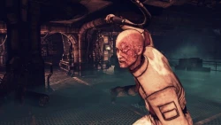 Скриншот к игре Afterfall: Insanity
