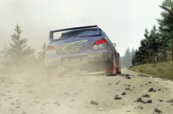 Colin McRae Rally 2007 Screenshots