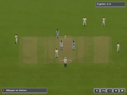 Скриншот к игре International Cricket Captain 2006