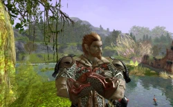 Скриншот к игре Aion: The Tower of Eternity
