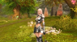Скриншот к игре Aion: The Tower of Eternity