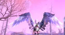 Скриншот к игре Aion: The Tower of Eternity