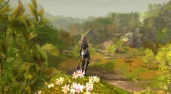 Скриншот к игре Aion: The Tower of Eternity