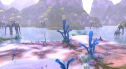 Скриншот к игре Aion: The Tower of Eternity