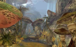 Скриншот к игре Aion: The Tower of Eternity