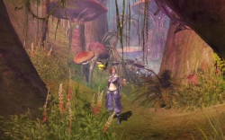 Aion: The Tower of Eternity Screenshots