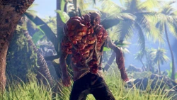 Скриншот к игре Dead Island