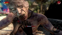 Dead Island Screenshots