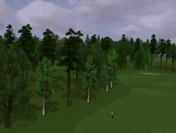 Скриншот к игре ProStroke Golf: World Tour 2007