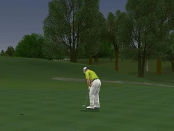 ProStroke Golf: World Tour 2007 Screenshots