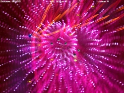 Bullet Candy Screenshots