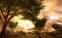 Far Cry 2 Screenshots