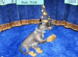 Catz 6 Screenshots